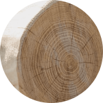 Materiali_robinia