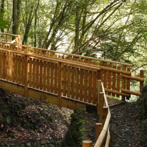 ponti-e-passerelle-01