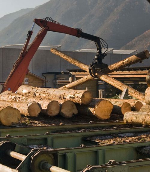 Sito produttivo Montanalegno - Industria Legnami Tirano per la lavorazione del legno
