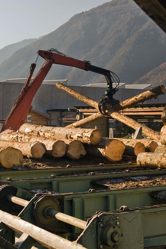produzione-legno-di-pino-cerrtificato-02 Sito produttivo Montanalegno - Industria Legnami Tirano per la lavorazione del legno